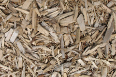biomass boilers Dunvant